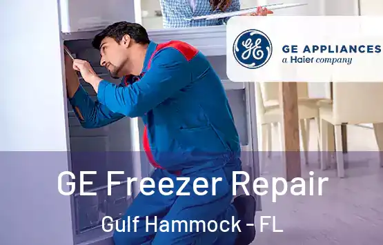  GE Freezer Repair Gulf Hammock - FL