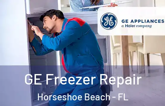  GE Freezer Repair Horseshoe Beach - FL