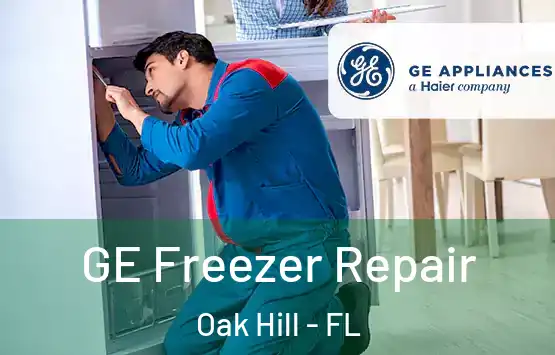  GE Freezer Repair Oak Hill - FL