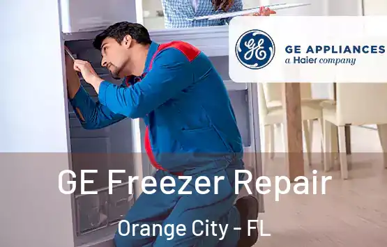  GE Freezer Repair Orange City - FL