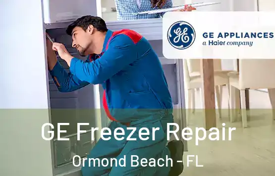  GE Freezer Repair Ormond Beach - FL