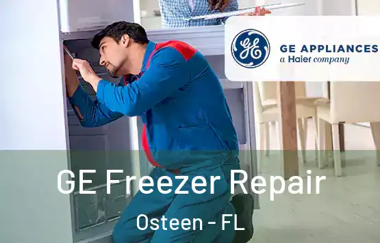  GE Freezer Repair Osteen - FL