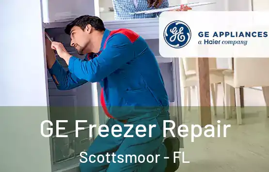  GE Freezer Repair Scottsmoor - FL