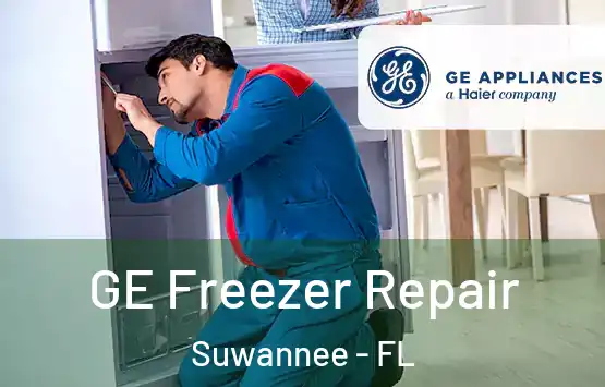  GE Freezer Repair Suwannee - FL