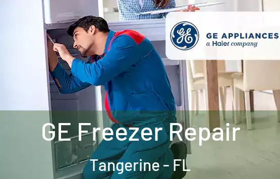  GE Freezer Repair Tangerine - FL