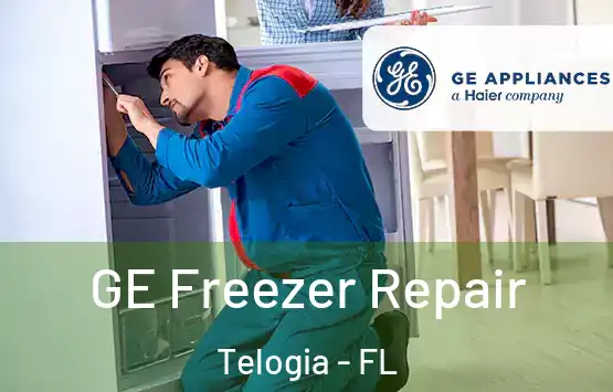  GE Freezer Repair Telogia - FL