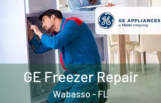  GE Freezer Repair Wabasso - FL
