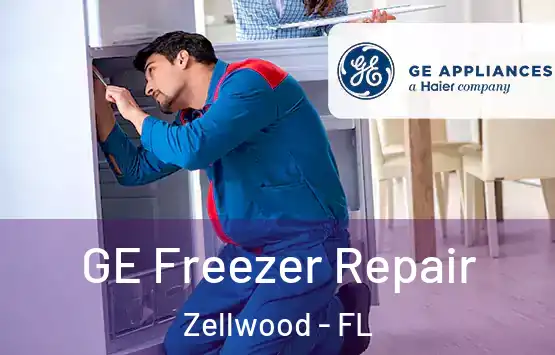  GE Freezer Repair Zellwood - FL