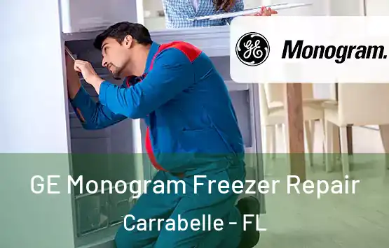  GE Monogram Freezer Repair Carrabelle - FL