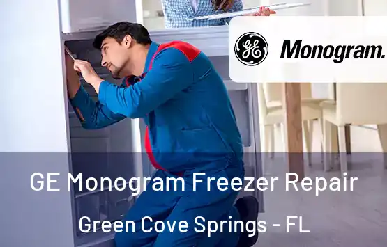  GE Monogram Freezer Repair Green Cove Springs - FL