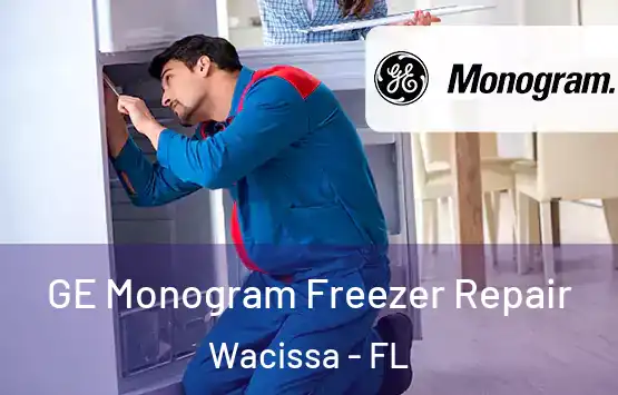  GE Monogram Freezer Repair Wacissa - FL