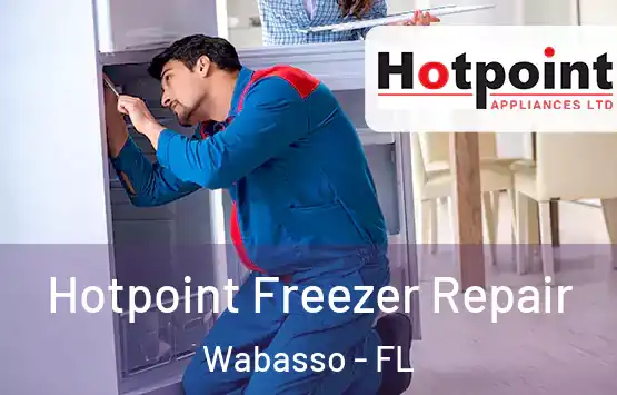  Hotpoint Freezer Repair Wabasso - FL