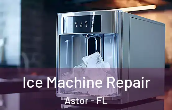  Ice Machine Repair Astor - FL