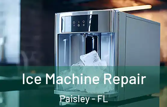  Ice Machine Repair Paisley - FL