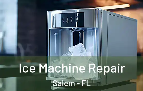  Ice Machine Repair Salem - FL