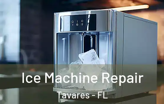  Ice Machine Repair Tavares - FL