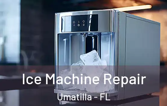  Ice Machine Repair Umatilla - FL