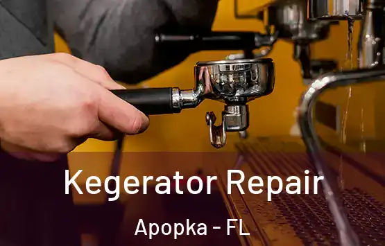  Kegerator Repair Apopka - FL