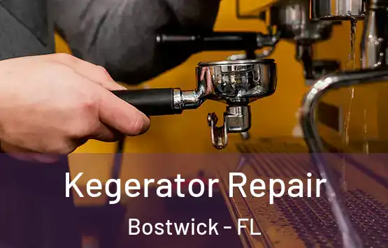  Kegerator Repair Bostwick - FL