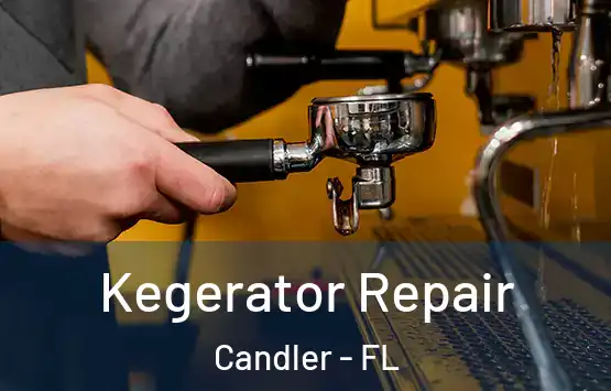  Kegerator Repair Candler - FL