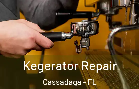  Kegerator Repair Cassadaga - FL