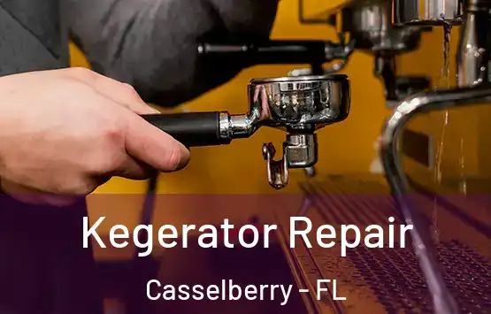  Kegerator Repair Casselberry - FL