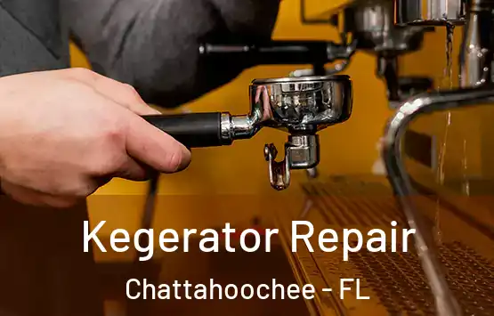  Kegerator Repair Chattahoochee - FL