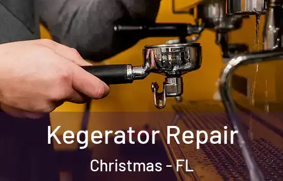  Kegerator Repair Christmas - FL