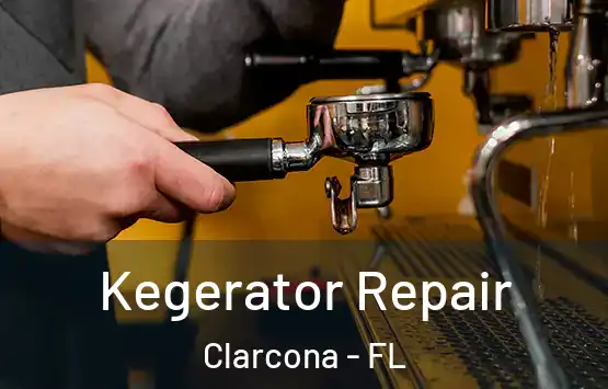 Kegerator Repair Clarcona - FL