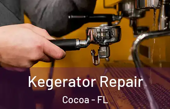  Kegerator Repair Cocoa - FL