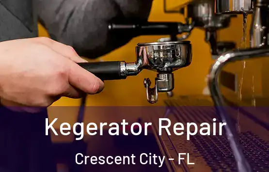  Kegerator Repair Crescent City - FL
