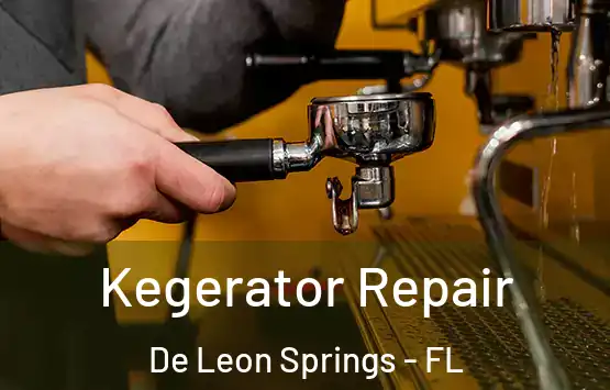  Kegerator Repair De Leon Springs - FL
