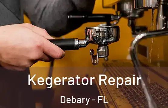  Kegerator Repair Debary - FL