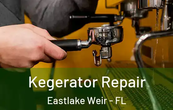 Kegerator Repair Eastlake Weir - FL
