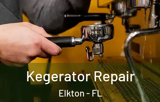 Kegerator Repair Elkton - FL