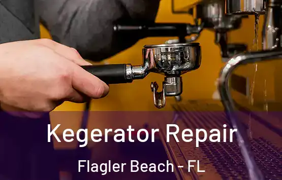  Kegerator Repair Flagler Beach - FL