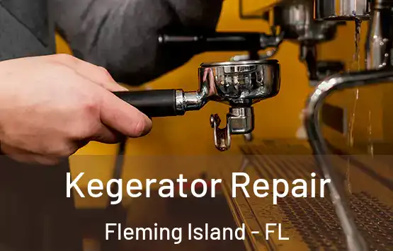  Kegerator Repair Fleming Island - FL