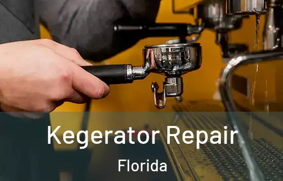  Kegerator Repair Florida
