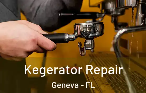  Kegerator Repair Geneva - FL