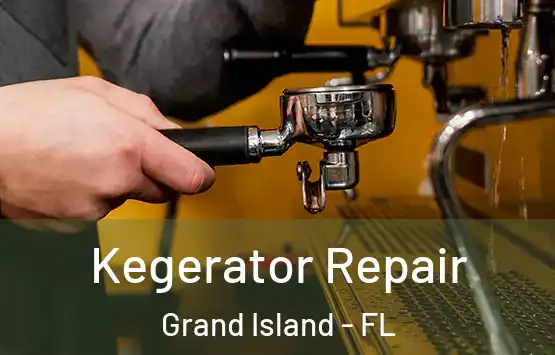  Kegerator Repair Grand Island - FL