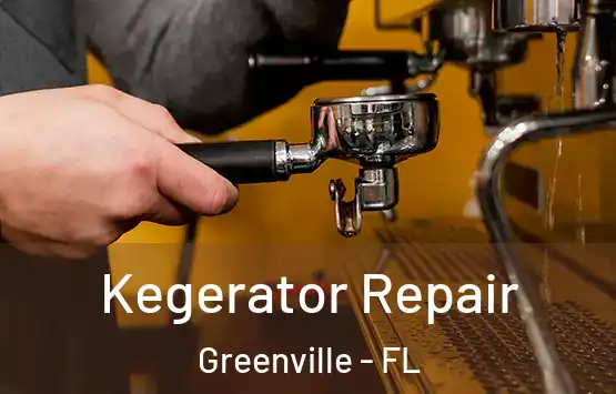  Kegerator Repair Greenville - FL