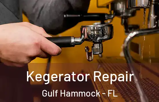 Kegerator Repair Gulf Hammock - FL