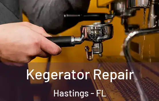  Kegerator Repair Hastings - FL