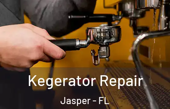  Kegerator Repair Jasper - FL