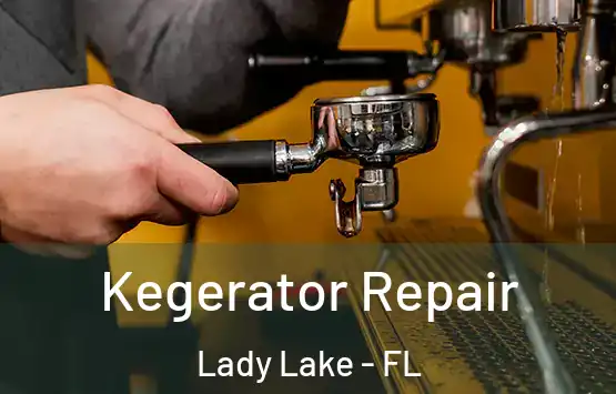  Kegerator Repair Lady Lake - FL