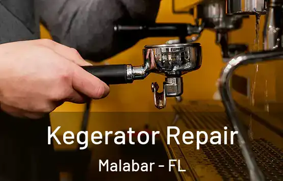  Kegerator Repair Malabar - FL