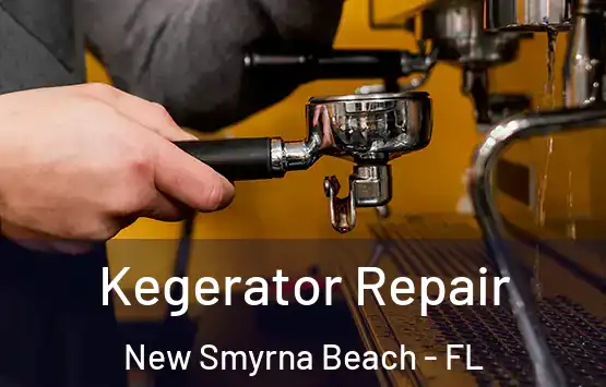 Kegerator Repair New Smyrna Beach - FL
