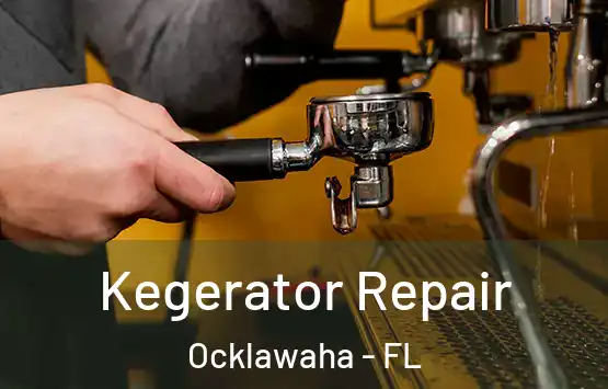  Kegerator Repair Ocklawaha - FL