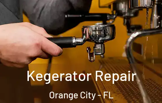  Kegerator Repair Orange City - FL