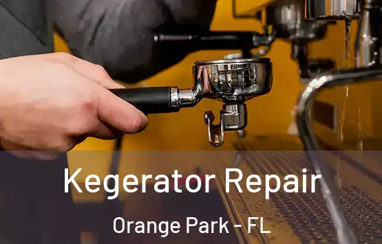  Kegerator Repair Orange Park - FL